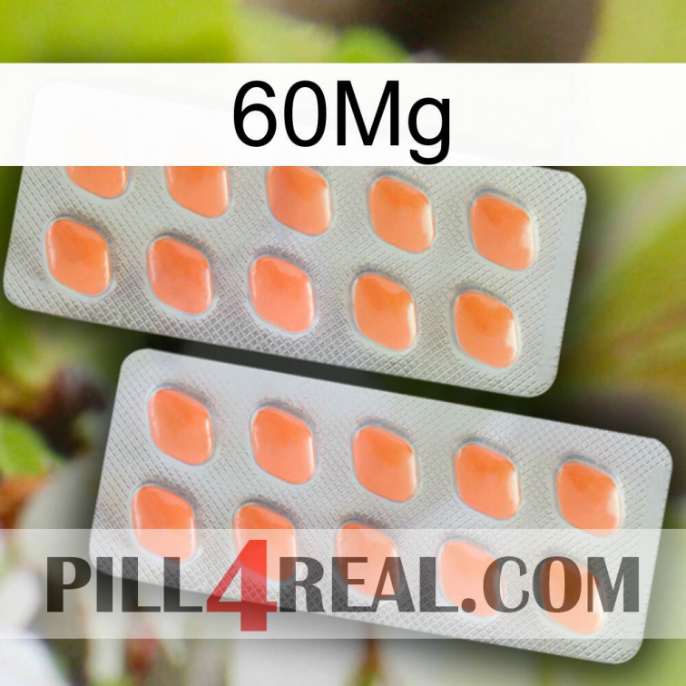 60Mg 27